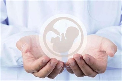 http://chengdu.hy-ly.com/post/203.html|成都试管助孕