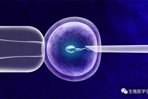 女人成都代生孩子的最佳年龄段 一辈子生几个孩子最好